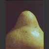 poire.jpg